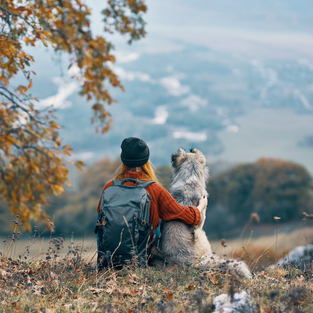 New Certified Products for Pets MADE SAFE Blog
