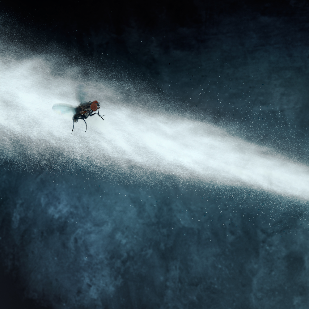 New Report Examines Impacts of Ingredients in Bug Repellent MADE SAFE Blog