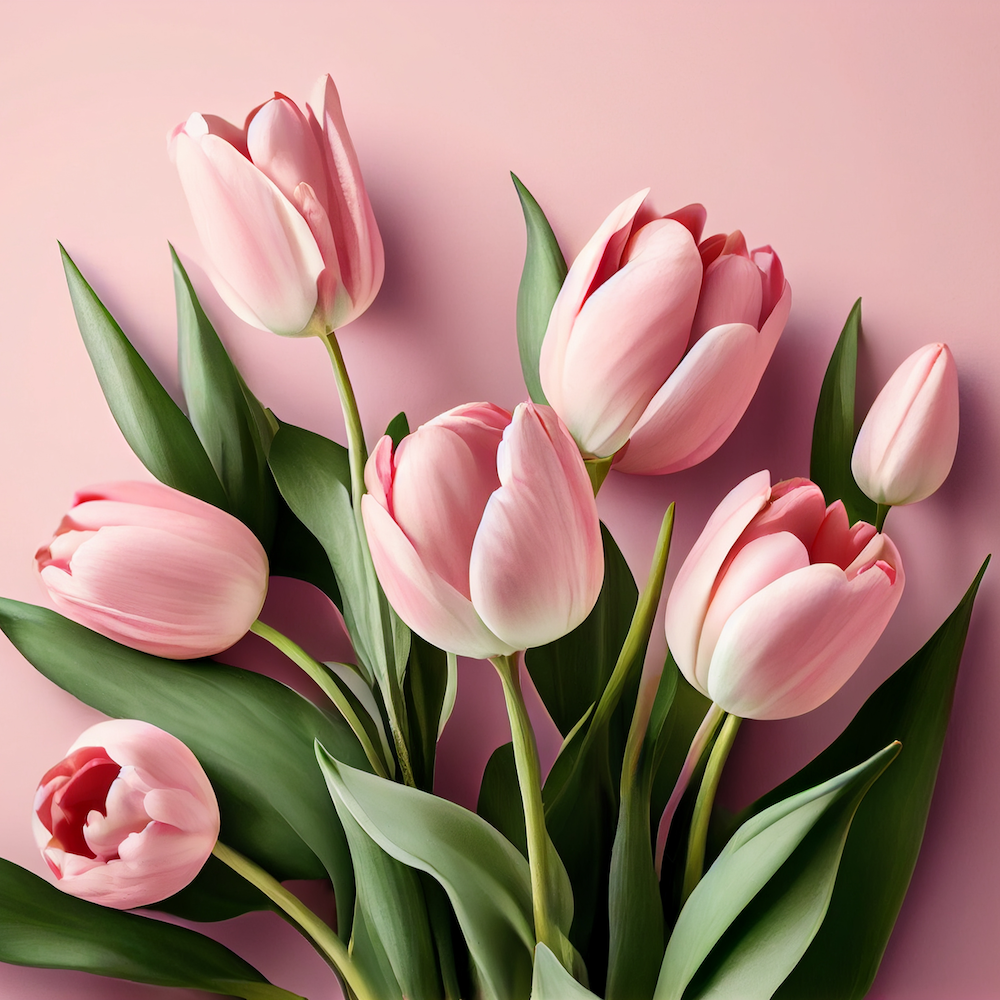 Special Mother’s Day Discounts Deals MADE SAFE Blog
