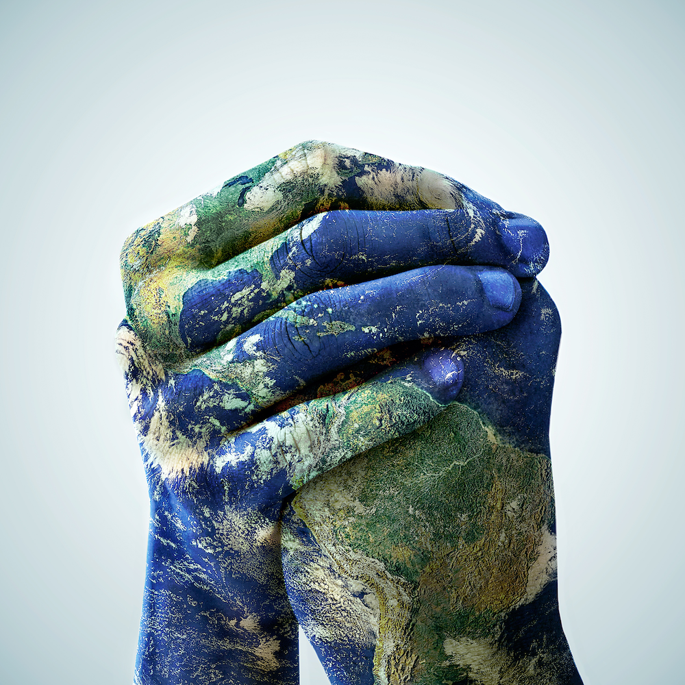 Support a MADE SAFE World Donate Blog