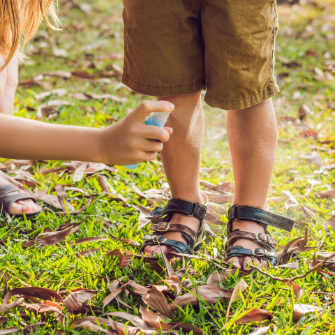 Product Profile Bug Repellent MADE SAFE Blog