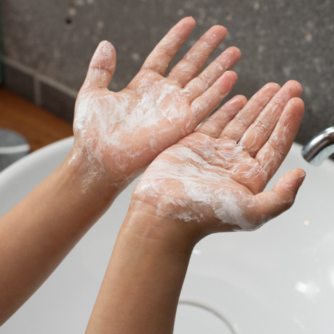 Product Profile Hand Soap MADE SAFE Blog