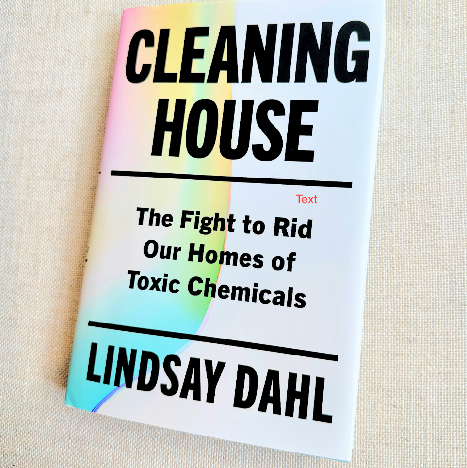 Cleaning House book