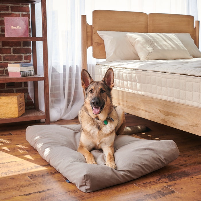 Naturepedic Organic Pet Bed w Removable Cover Waterproof MADE SAFE