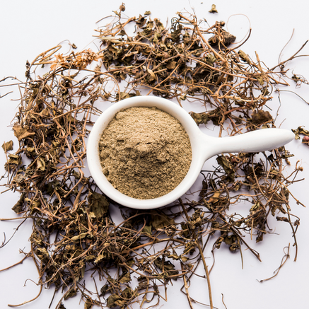 Bhringraj powder deals