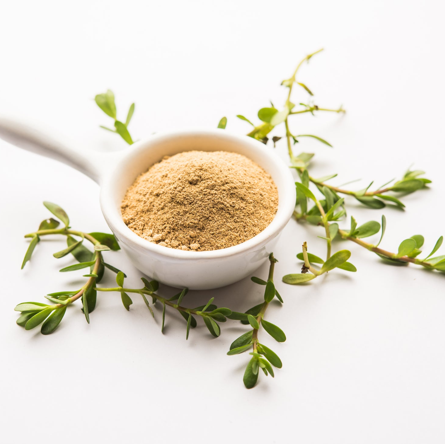 Radico Colour Me Organic Brahmi Powder MADE SAFE