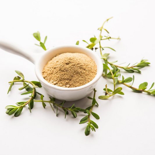 Radico Colour Me Organic Brahmi Powder MADE SAFE