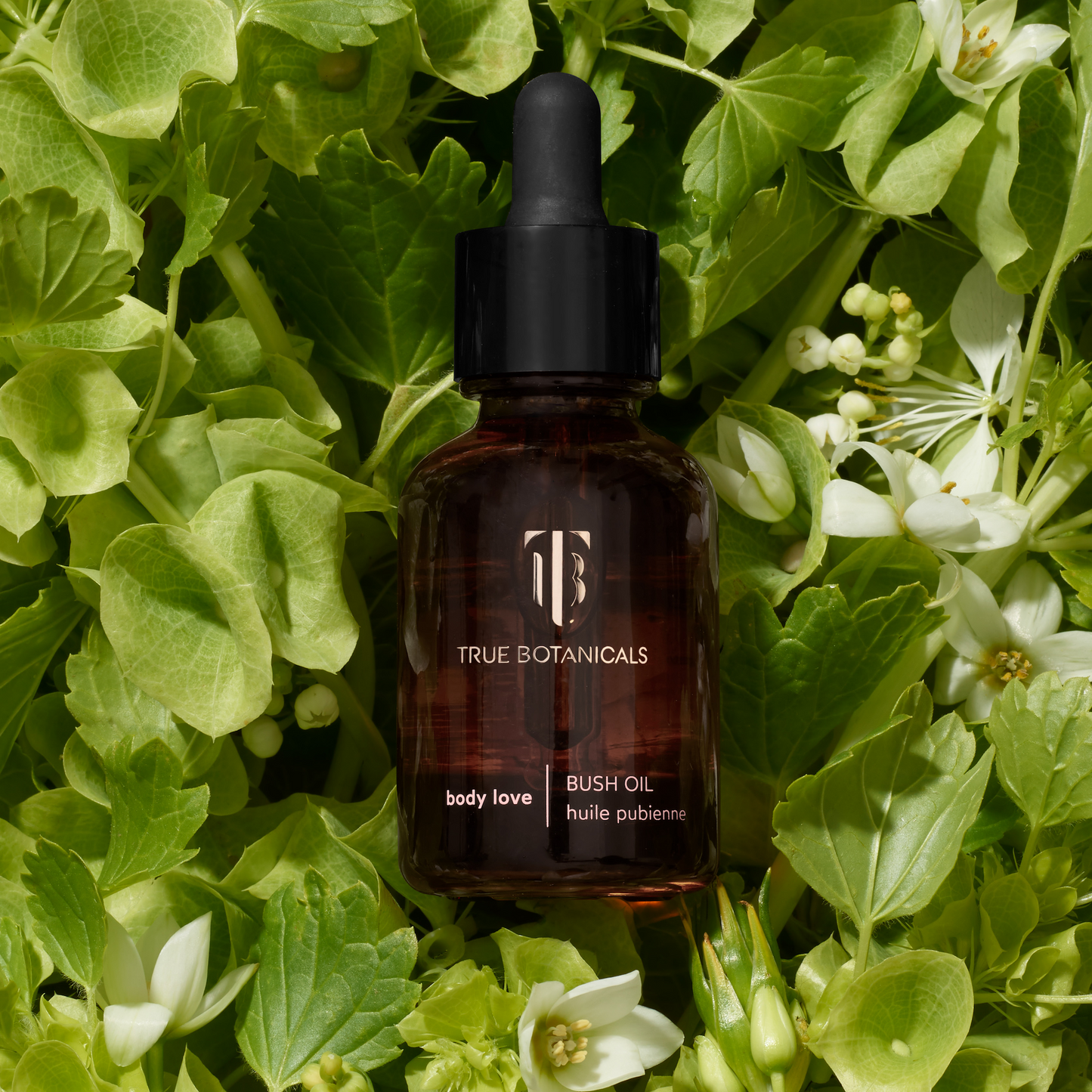 True Botanicals Bush Oil Body Love MADE SAFE