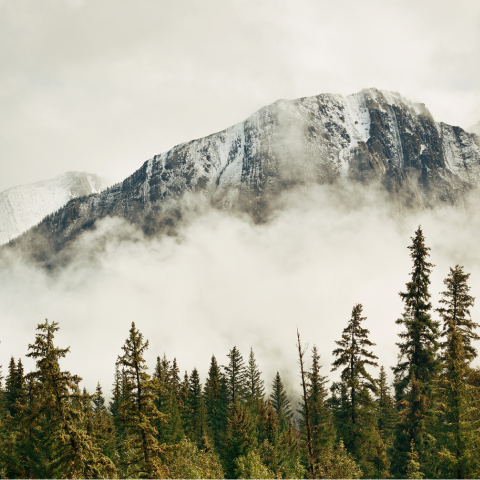 mountain range