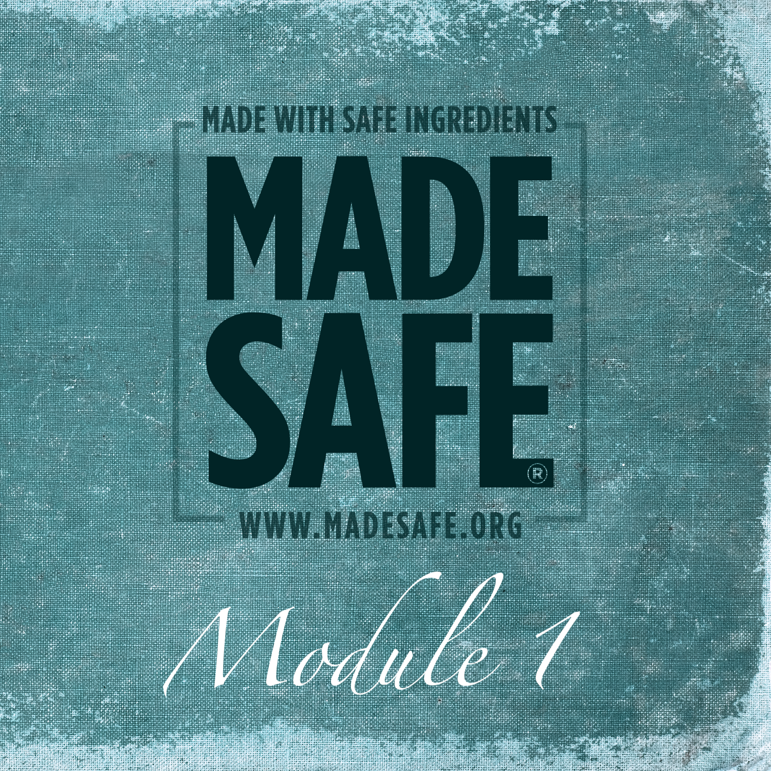 MADE SAFE Handbook Module 1 Seal Use Language Guidelines