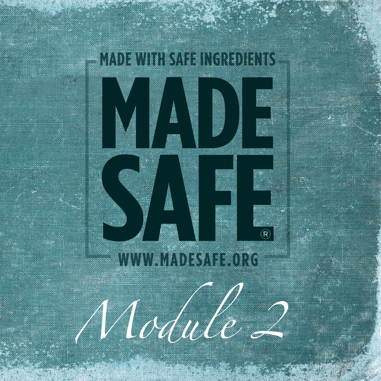 MADE SAFE Handbook Module 2 Social Media Community Engagement