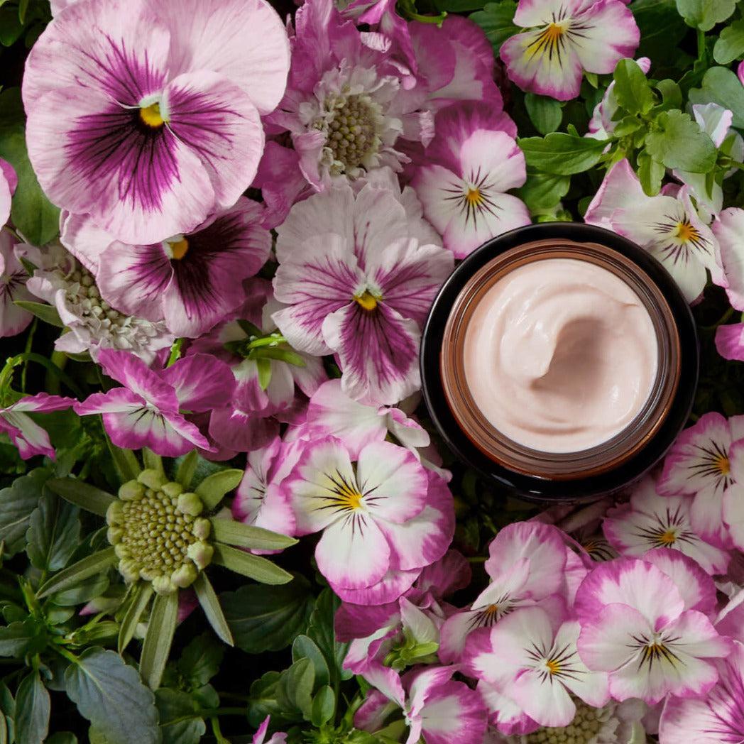 True Botanicals Chebula Extreme Cream Renew MADE SAFE